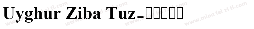 Uyghur Ziba Tuz字体转换
